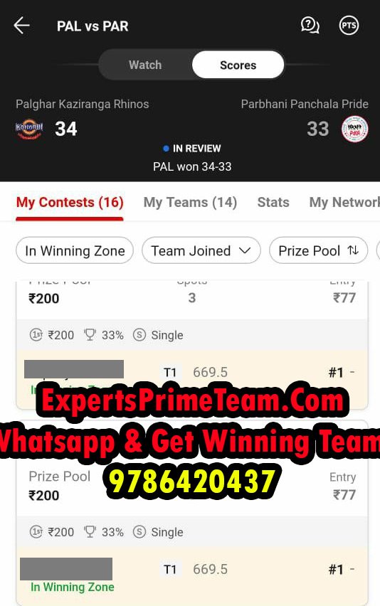 PAL-Experts_Prime_Team_results