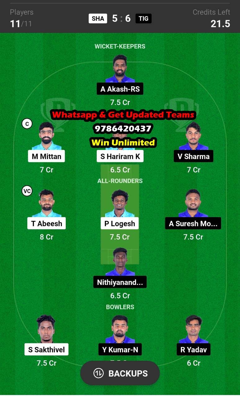 SHA vs TIG 29th Match Dream11 Team fantasy Prediction Pondicherry T20 Tournament