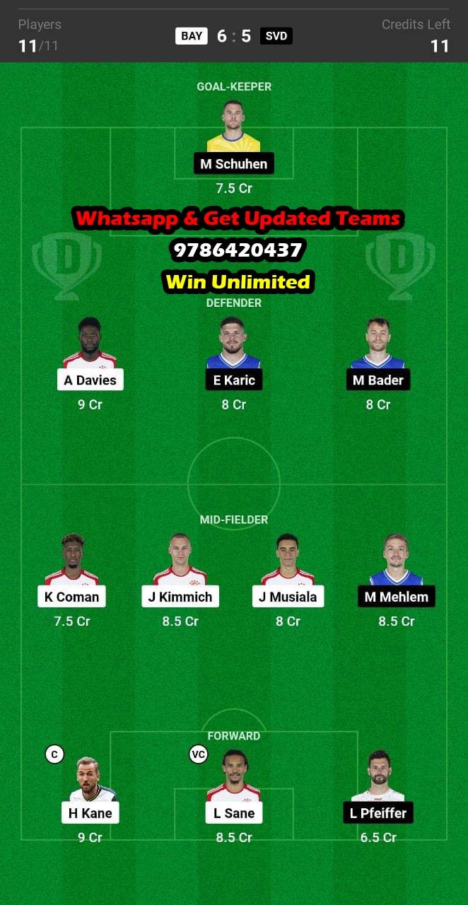 BAY vs SVD Dream11 Team fantasy Prediction Bundesliga